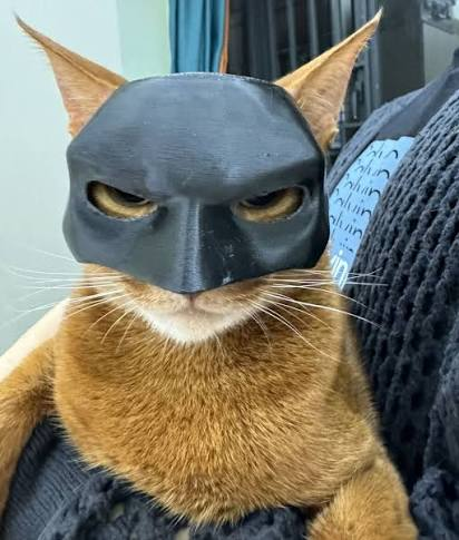 Orange cat wearing a bat mask wrapped in a knit blanket